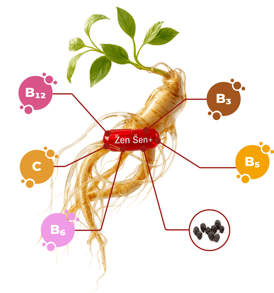 Výhody ženšenu Energy+